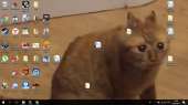 1366x768
