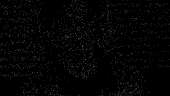 500x284