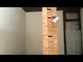 320x240