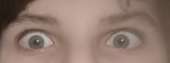 1186x444