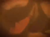 320x240