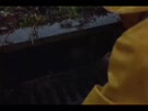 320x240