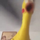 360x360