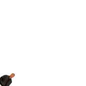 300x300