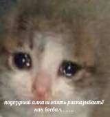 726x768