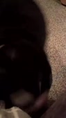 202x360