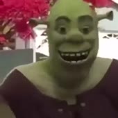 360x360