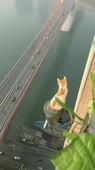 360x640