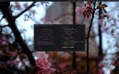 1280x800
