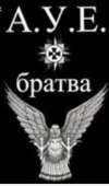 406x686