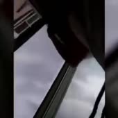 360x360