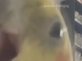 480x360