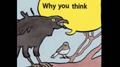 460x258