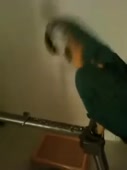 270x360
