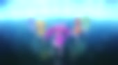 640x360
