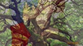 640x360