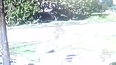 640x360