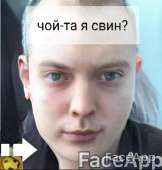 428x448