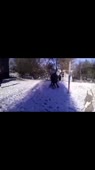 360x640