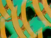 320x240