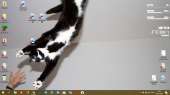 1366x768