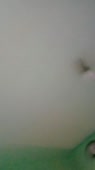 406x720