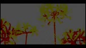 1280x720
