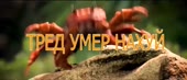 1280x550