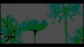 1280x720
