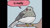 460x258