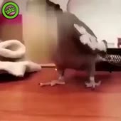 360x360