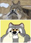 320x441