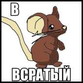 462x462