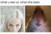 720x494
