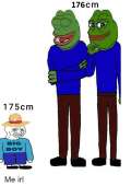 541x766