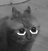 397x419