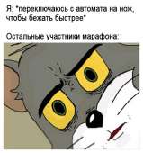 496x530