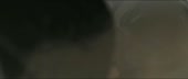 900x383