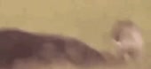 360x166