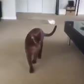 360x360