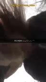 204x360
