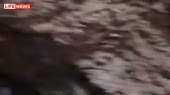 480x270