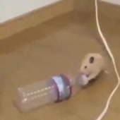 360x360