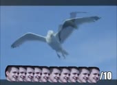 490x360