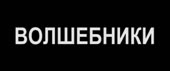 480x202