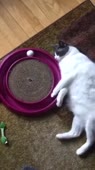 360x640