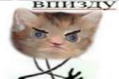 429x286