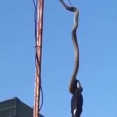 360x360