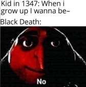 1003x1013