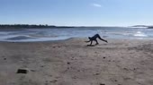 640x360